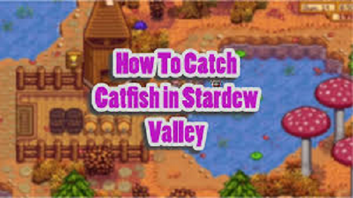 Catfish Stardew Valley​